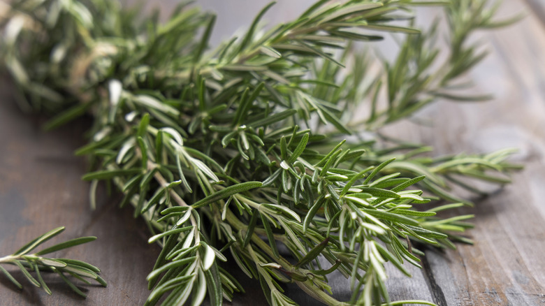 Green rosemary stalks in a glass vase on its side.