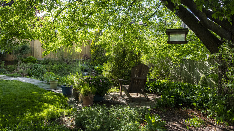 A sitting area under a leafy tree is a backyard getaway.