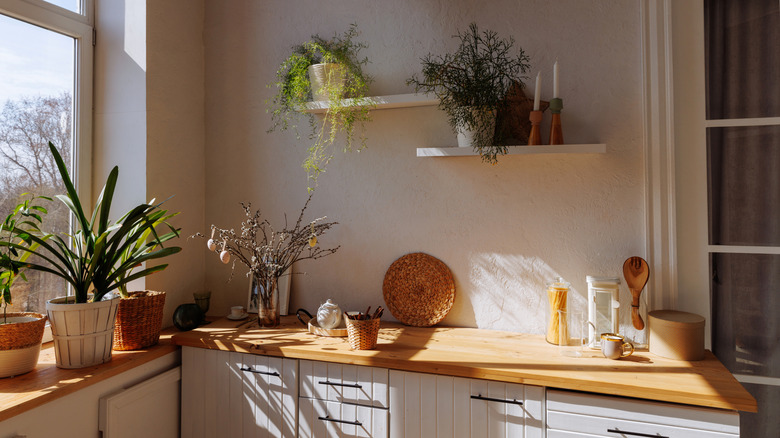 Stylish modern white kitchen with wood counter top against white wall and shelves with house plants. Ceramic dishes and kitchen utensils stand on a wooden tabletop.
