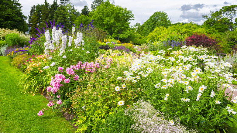 A lovely garden filled with a variety of flowers