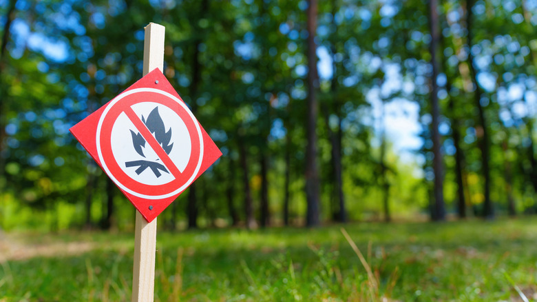 A red sign with a red circle and slash over a fire image in a grassy and wooden area indicates a fire ban