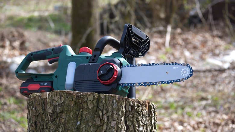 A chainsaw sits atop a tree stump in a wooded area