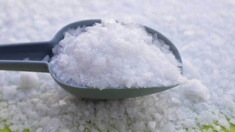 A scoop of sodium hydroxide resting on top of a spread of crystals