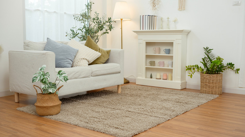 small living room with tiny sofa and area rug