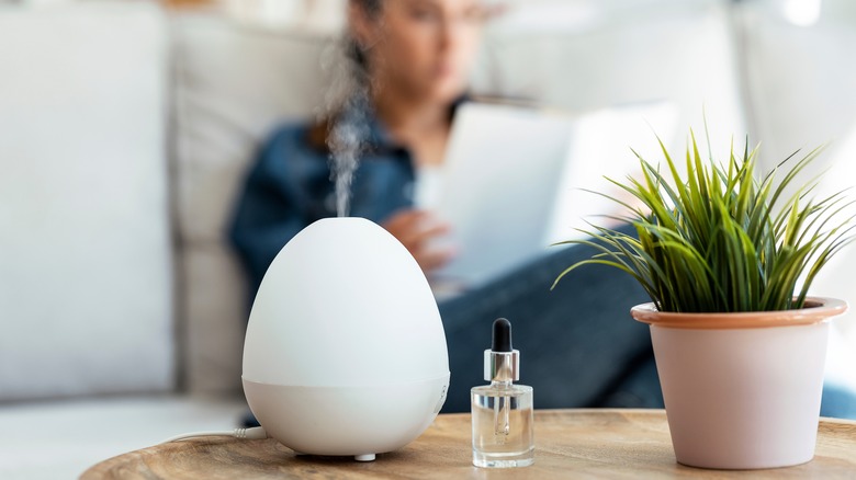 essential oil diffuser on table with plant
