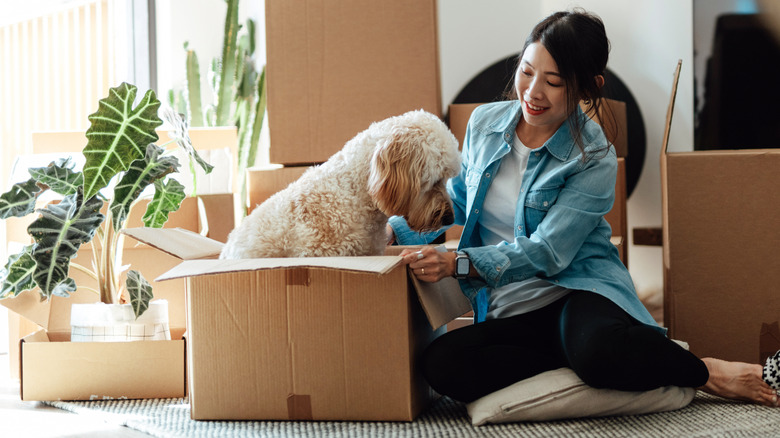 Woman and dog unpacking boxes in a new rental unit