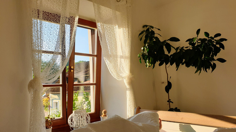 Sunny window with lace curtains