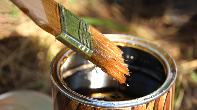 Paintbrush dipped into a can of wood stain before coating timber.