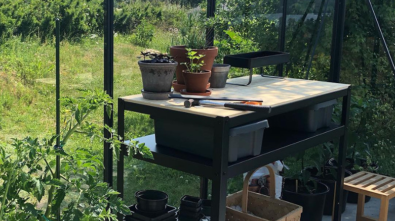 A black IKEA BROR utility cart in an outdoor greenhouse with potted plants and gardening tools sitting on top