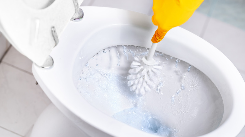 Hand scrubbing toilet bowl with toilet brush