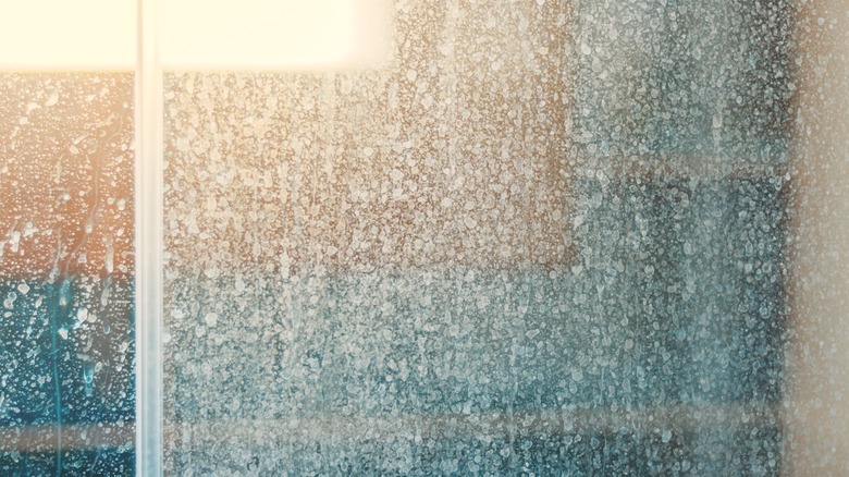 Shower glass with hard water stains