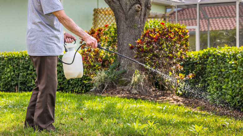 Man in baggy brown pants and a grey shirt uses a sprayer to apply lawn treatment