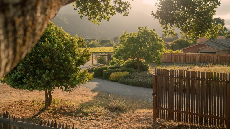 Carmel Valley, California, close to the Bay Area with a stunning green landscape during the golden hour