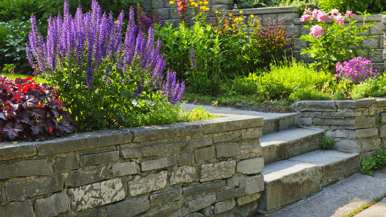 pretty flowers growing behind a retaining wall