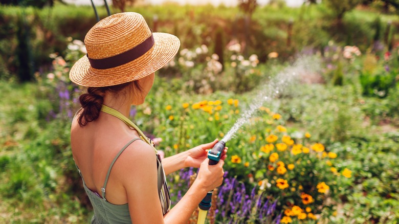 Woman in hat watering flower garden