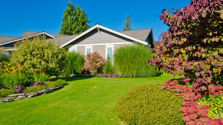 Beautiful front yard landscaping with splashes of color