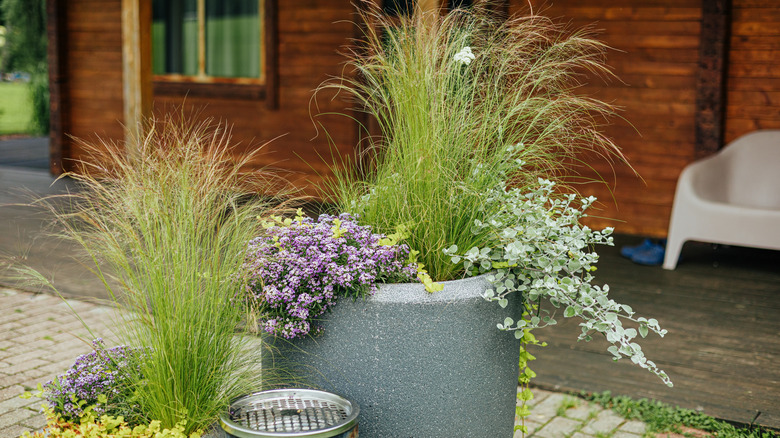 A close-up look at a large, modern planter with grasses and flowers.