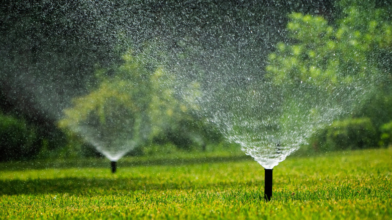 A sprinkler system waters a lawn.