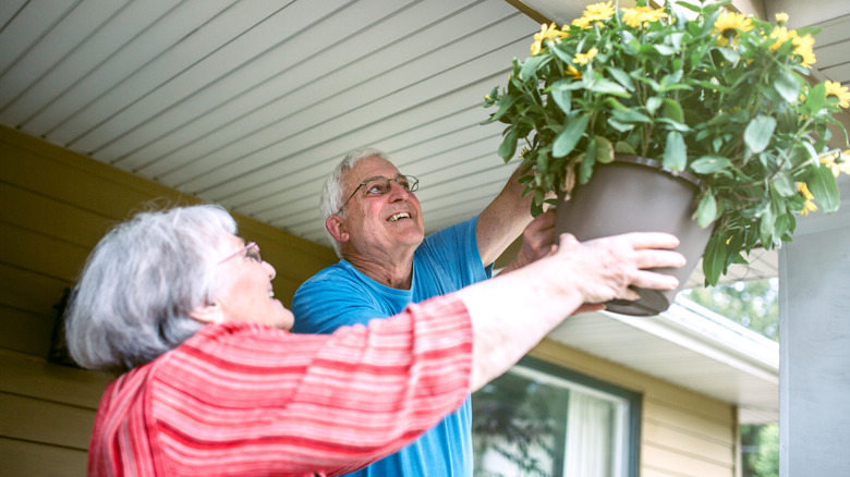 Couple reaching for hanging plant