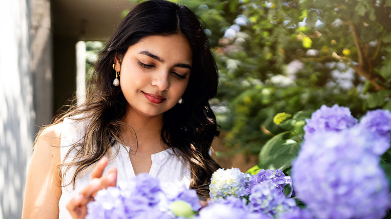 Woman with purple broadleaf hydrangeas in garden