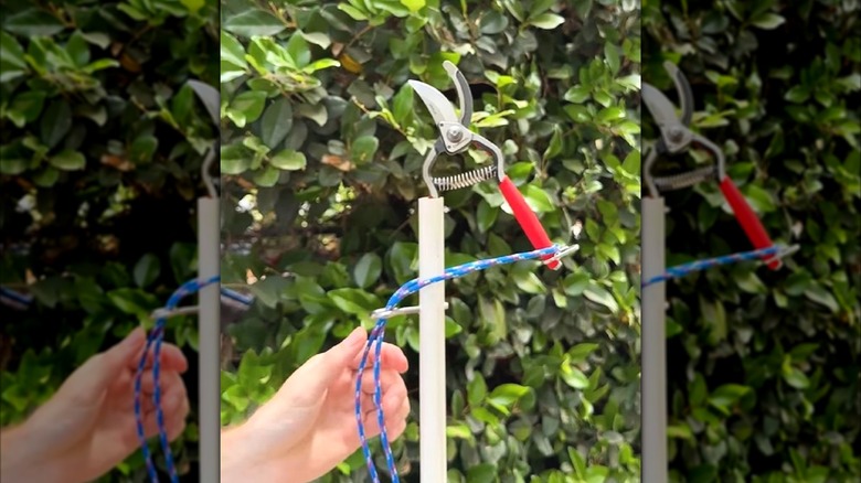 Person trimming a tree with DIY pruners out of PVC pipe