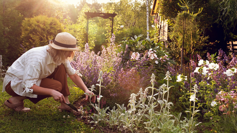 A woman digs in the garden.