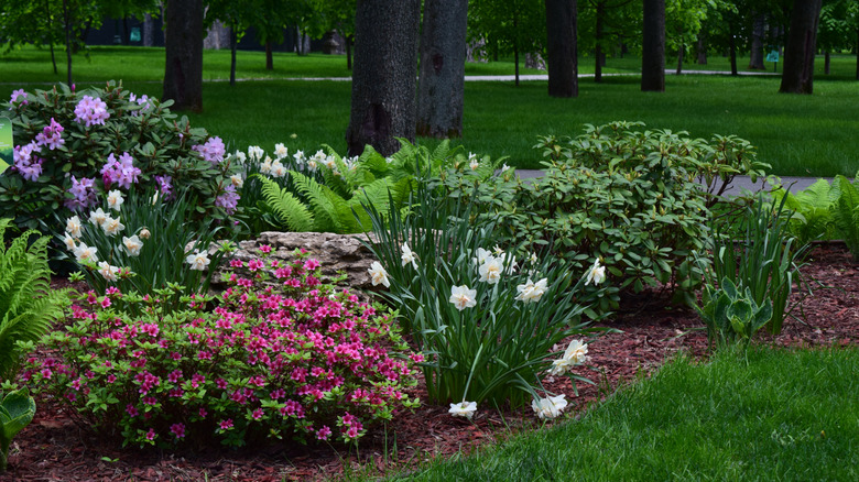 Tidy garden with flowering perennials