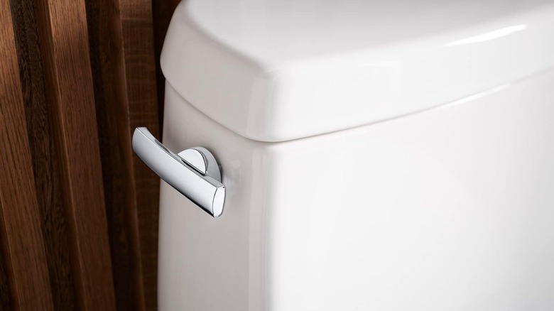 A polished chrome side mount flush handle is installed on a white toilet