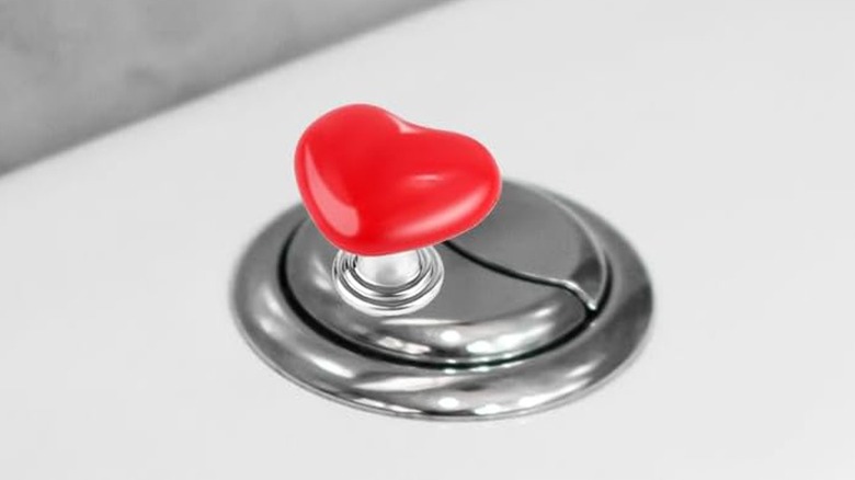 A red heart shaped button is attached to a push button toilet flush system