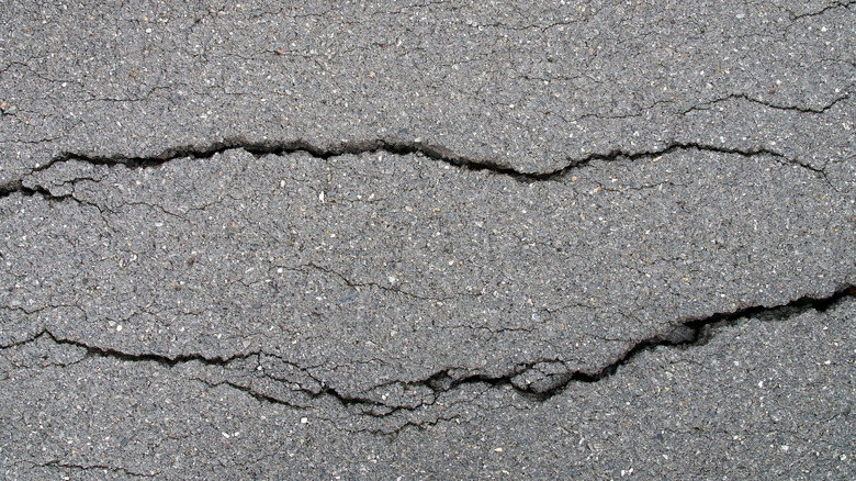 Cracks in an asphalt driveway