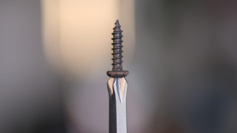 a screw balanced on the head of a screwdriver