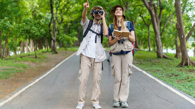 Two birdwatchers with binoculars and a book, on a path among tall trees