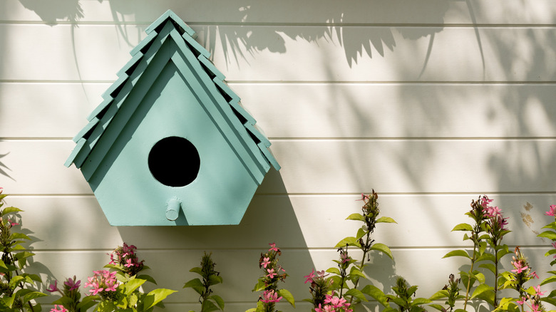 birdhouse in sun
