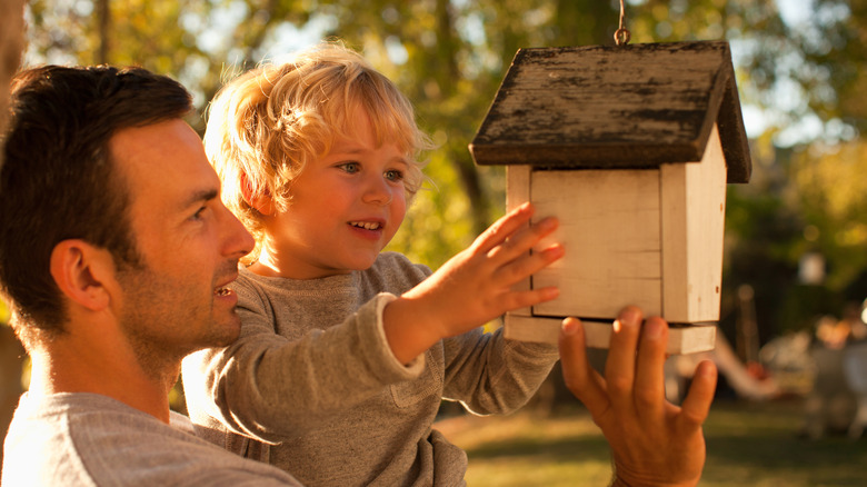father and son touching birdhouse
