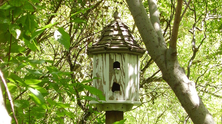 old birdhouse