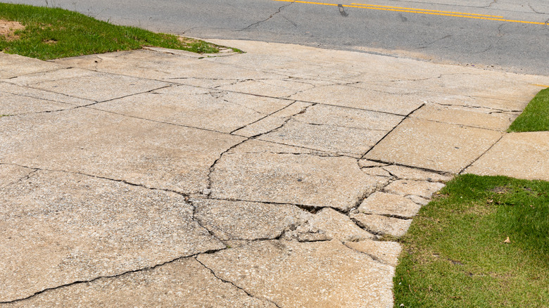 Cracked concrete driveway with patches of grass on sides