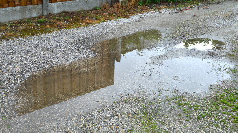 A gravel driveway with unclear edges and a large puddle