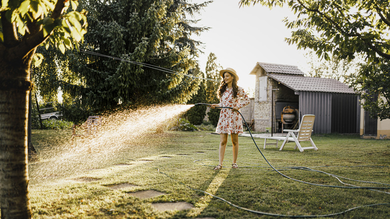 pretty woman watering summer yard