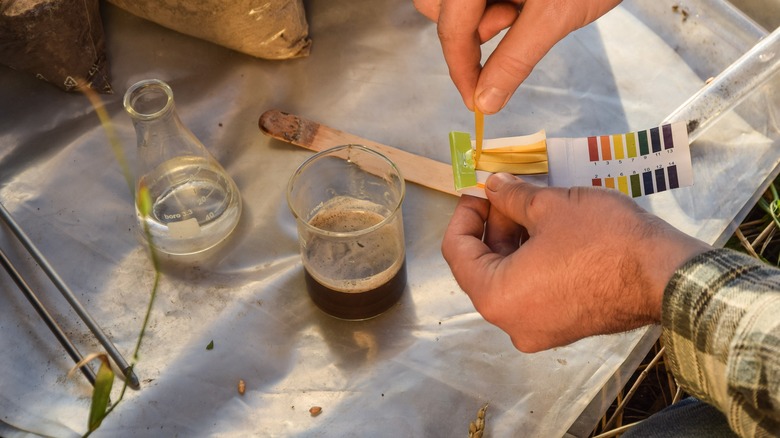 person testing the soil