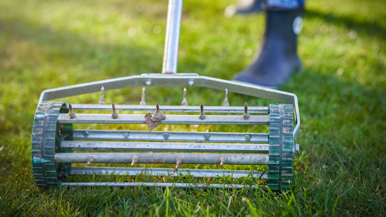 lawn aerator in the grass