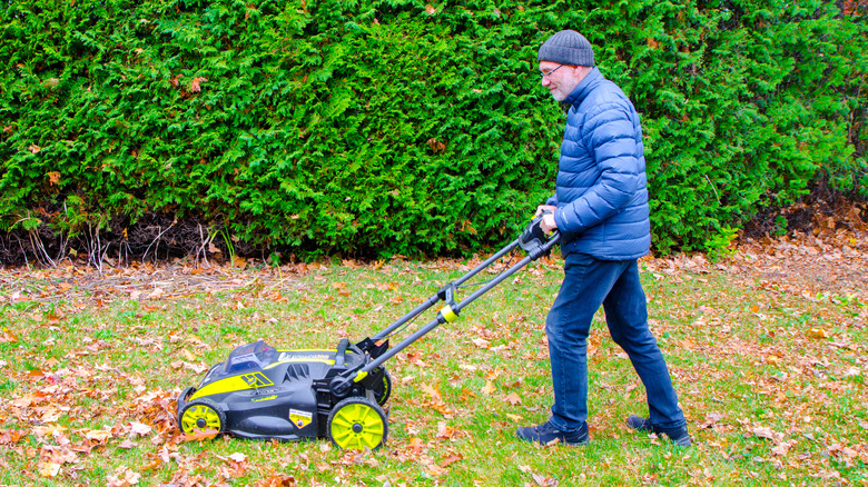person mowing lawn