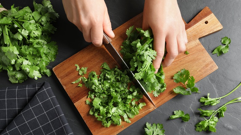 person chopping cilantro