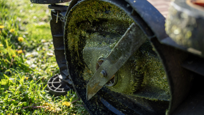 A lawn mower turned on its side, revealing the blade and underside covered in grass clippings