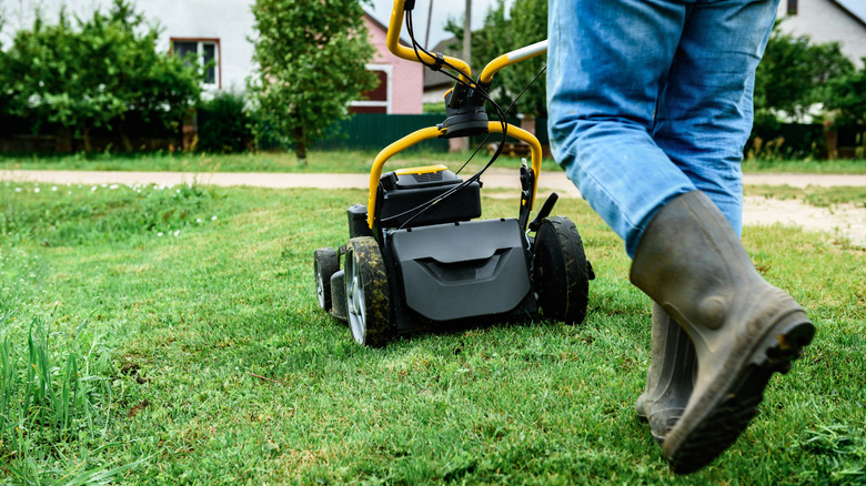 Gardener mowing grass neatly