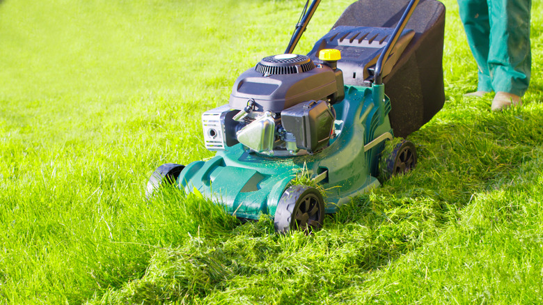 Lawn mower cutting long grass and leaving grass as mulch