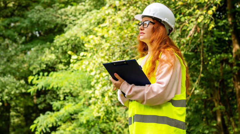 A woman with a clipboard inspecting trees