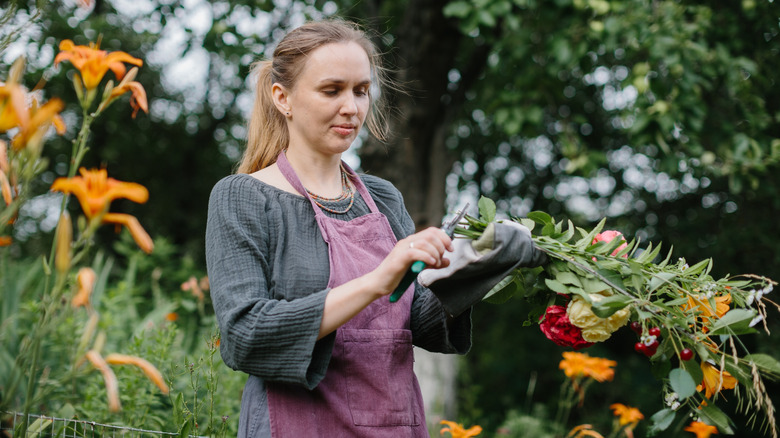 A woman picking flowers in a garden growing daylilies