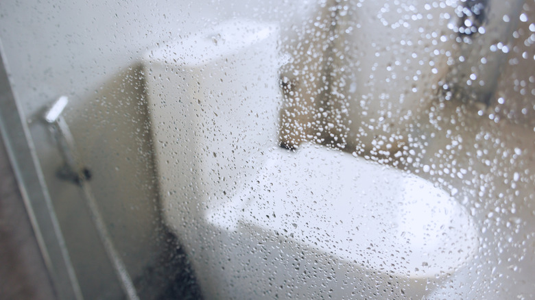 Water splashes on a shower door looking out to the toilet.