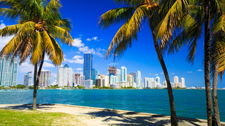 Florida beach