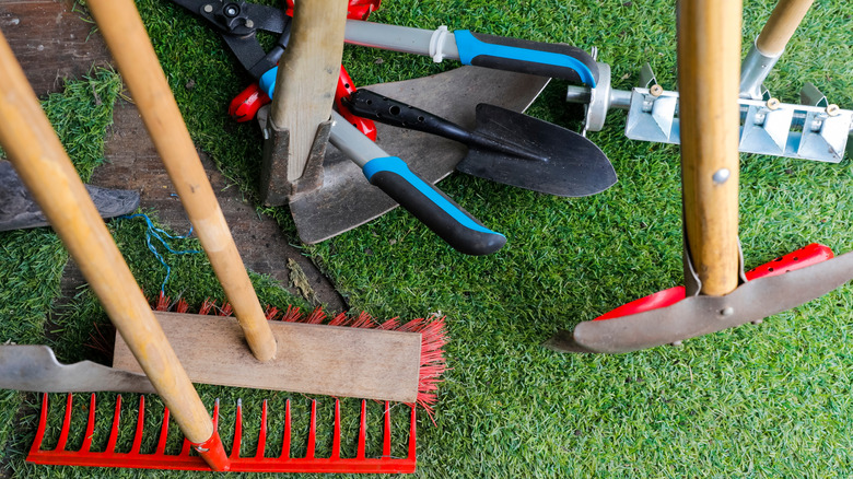 A variety of garden tools in a garden